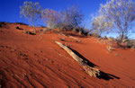 Simpson Desert, Australien