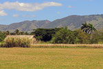 Landschaft bei Las Terrenas, Dominikanische Republik