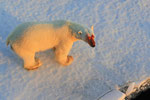 Eisbär, Erik Eriksenstetet