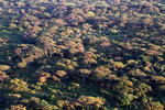 Trockenwald im Nechisar-Nationalpark bei Arba Minch