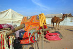 Nagaur Cattle Fair,  Rajasthan