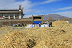 Entearbeiten bei Chuksar, Tibet