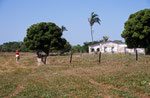 Pantanal, Brasilien