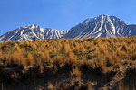 Landschaft im Nationalpark Lauca, Chile