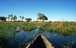 Boro River, Moremi Game Reserve, Okavango-Delta