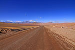 Piste im Lauca Nationalpark, Chile