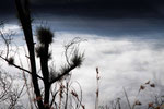 Mt. Bromo, Java