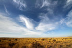 Landschaft bei Marfa, Texas