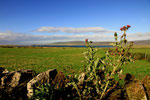 Mainland, Orkney 