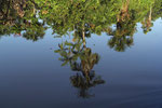 Orinoco-Delta, Orinoco-Delta