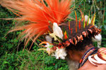 Huli (Wigman), Tari Region, Western Highlands