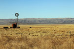 Farmlandschaft in West-Texas