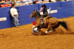 Rodeo, Austin, Texas