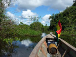 Boat trip through the Pampas near Rurrenabaque