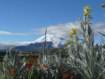 Cotopaxi