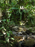 San Gil, hike to the Juan Curi Waterfalls