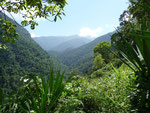 Lost City Tour, The beautiful jungle