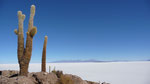 The beautiful Isla de Pescado on the Salt Flats