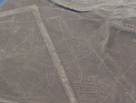 The Nazca lines (Whale)