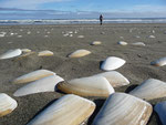 Pacific ocean beach on the Chiloé Island