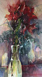 27 Amaryllis 44x76