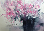 48 Dahlien 51x36