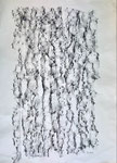 15 Zirbe 58x42