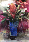 69 Bromelia 56x77