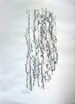 14 Fichte 58x42