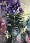 Nr. 36 Orchideen 76 x 57 cm 2013