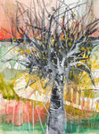 184 Baumstudie 41x31 AM