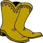 Western Boots