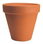 Plant Pot