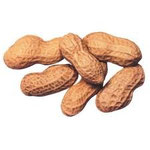 Peanut