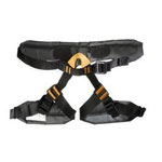Harness