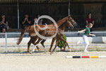13_2025_DR_Regele_13