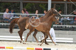 8_2022_Birkenbach_8