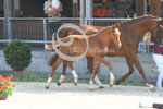 15_2025_DR_Seiler-Stocker_12