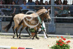 29_2025_P_Visser_25