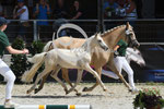 28_2024_P_Visser_13