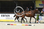 37_2025_SP_Visser_1