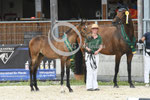 50_2025_SP_Landes_9