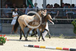 29_2025_P_Visser_14