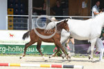 43_2025_SP_Schweiger_2