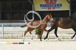 49_2025_SP_Schweiger_6