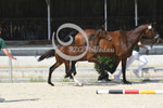 37_2025_SP_Visser_10
