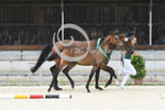 50_2025_SP_Landes_12