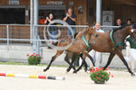 50_2025_SP_Landes_13