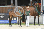 50_2025_SP_Landes_10