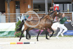 50_2025_SP_Landes_3